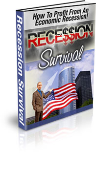 Recession Survival - PLR